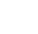 Rally Logo
